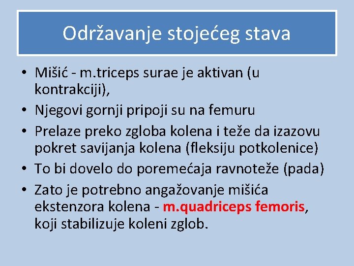 Održavanje stojećeg stava • Mišić - m. triceps surae je aktivan (u kontrakciji), •