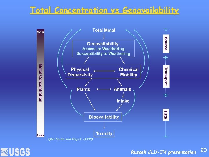 Total Concentration vs Geoavailability Russell CLU-IN presentation 20 