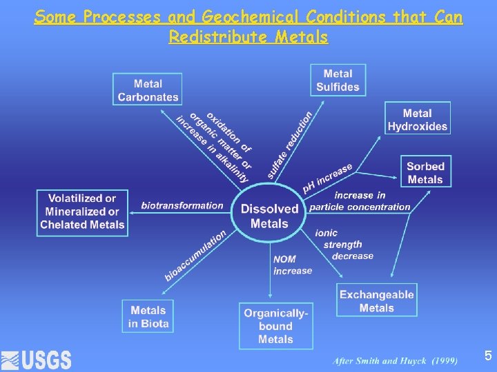 Some Processes and Geochemical Conditions that Can Redistribute Metals 5 