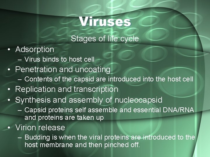 Viruses Stages of life cycle • Adsorption – Virus binds to host cell •