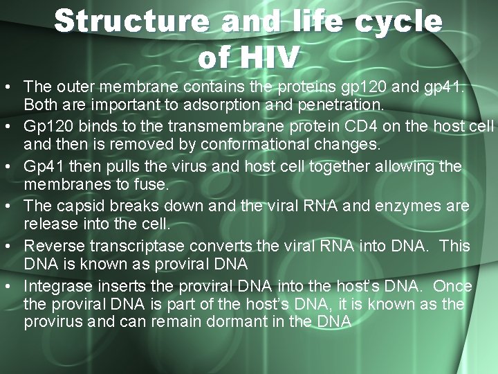 Structure and life cycle of HIV • The outer membrane contains the proteins gp