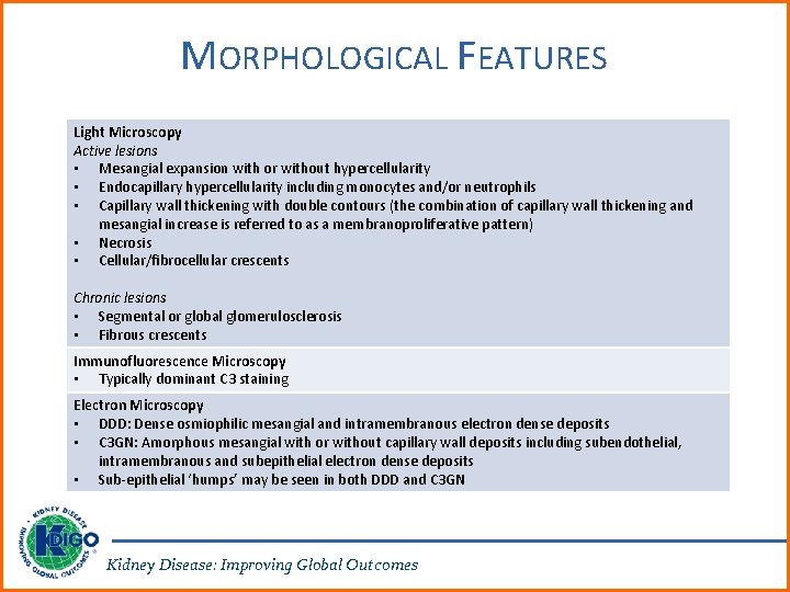 MORPHOLOGICAL FEATURES Light Microscopy Active lesions • Mesangial expansion with or without hypercellularity •