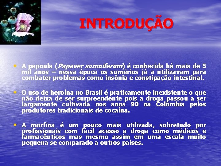 INTRODUÇÃO • A papoula (Papaver somniferum) é conhecida há mais de 5 mil anos