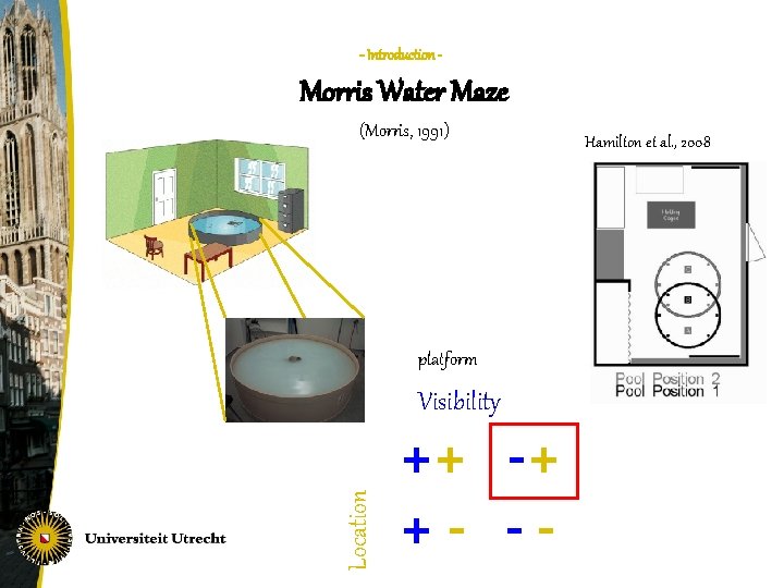- Introduction - Morris Water Maze (Morris, 1991) Hamilton et al. , 2008 platform