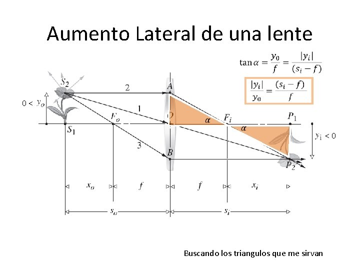 Aumento Lateral de una lente 0 < Buscando los triangulos que me sirvan < Aumento Lateral de una lente 0 < Buscando los triangulos que me sirvan <