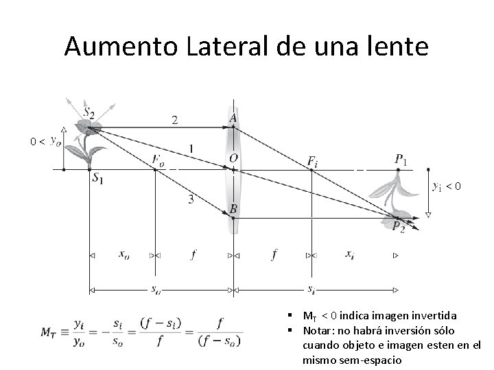 Aumento Lateral de una lente 0 < < 0 § MT < 0 indica Aumento Lateral de una lente 0 < < 0 § MT < 0 indica