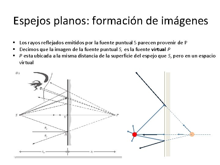 Espejos planos: formación de imágenes § Los rayos reflejados emitidos por la fuente puntual Espejos planos: formación de imágenes § Los rayos reflejados emitidos por la fuente puntual