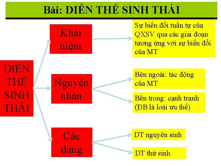 Bài: DIỄN THẾ SINH THÁI Khái niệm DIỄN THẾ SINH THÁI Nguyên nhân Các