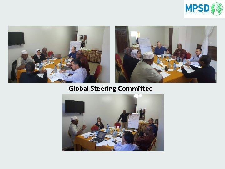 Global Steering Committee 