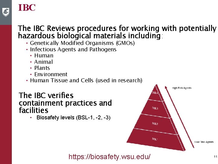 IBC The IBC Reviews procedures for working with potentially hazardous biological materials including: •