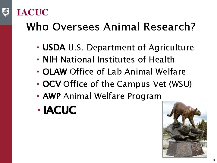 IACUC Who Oversees Animal Research? • USDA U. S. Department of Agriculture • NIH