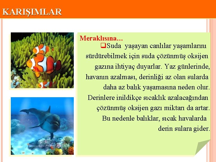 KARIŞIMLAR Meraklısına… q. Suda yaşayan canlılar yaşamlarını sürdürebilmek için suda çözünmüş oksijen gazına ihtiyaç KARIŞIMLAR Meraklısına… q. Suda yaşayan canlılar yaşamlarını sürdürebilmek için suda çözünmüş oksijen gazına ihtiyaç