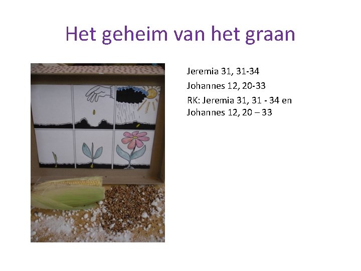 Het geheim van het graan Jeremia 31, 31 -34 Johannes 12, 20 -33 RK: