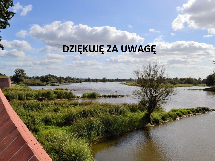 DZIĘKUJĘ ZA UWAGĘ 