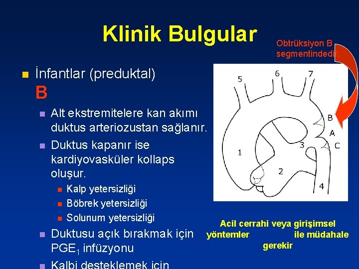 Klinik Bulgular n Obtrüksiyon B segmentindedir. İnfantlar (preduktal) B n n Alt ekstremitelere kan