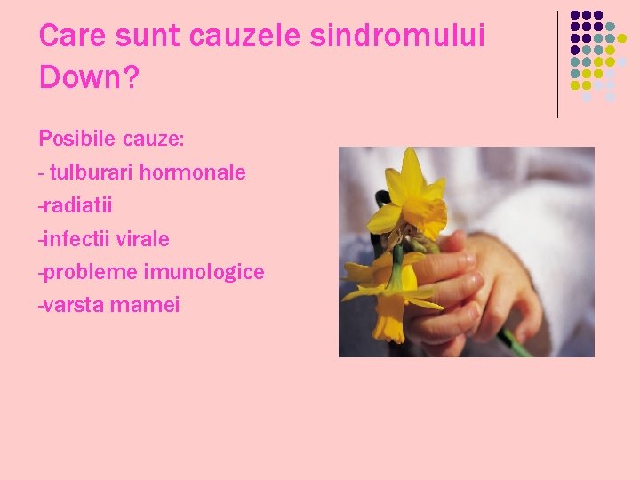 Care sunt cauzele sindromului Down? Posibile cauze: - tulburari hormonale -radiatii -infectii virale -probleme