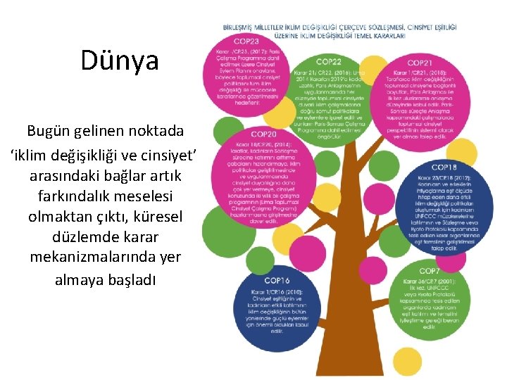 Dünya Bugün gelinen noktada ‘iklim değişikliği ve cinsiyet’ arasındaki bağlar artık farkındalık meselesi olmaktan