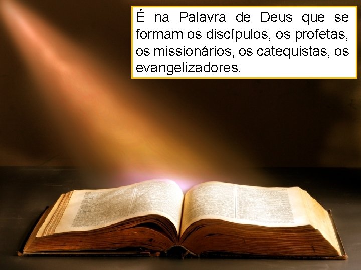 É na Palavra de Deus que se formam os discípulos, os profetas, os missionários,