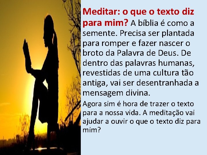  • Meditar: o que o texto diz para mim? A bíblia é como