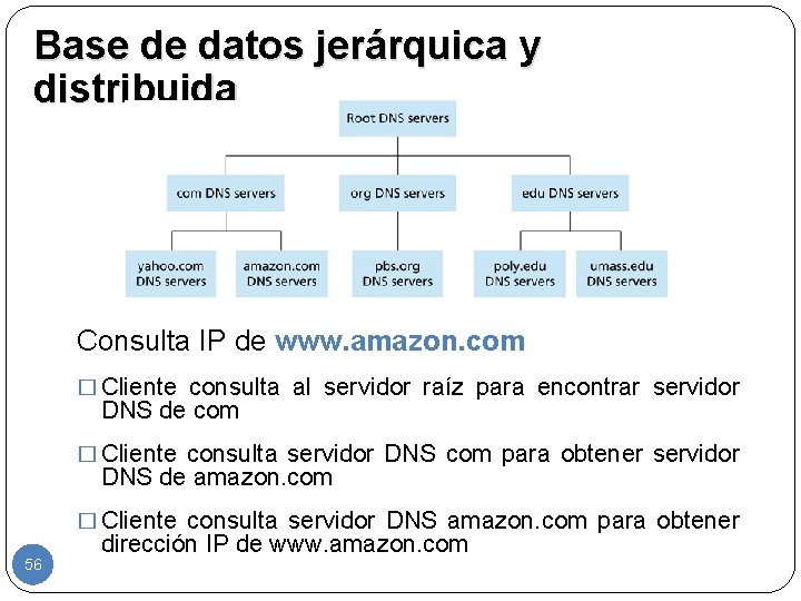 Base de datos jerárquica y distribuida Consulta IP de www. amazon. com � Cliente