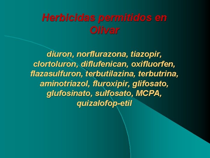 Herbicidas permitidos en Olivar diuron, norflurazona, tiazopir, clortoluron, diflufenican, oxifluorfen, flazasulfuron, terbutilazina, terbutrina, aminotriazol,