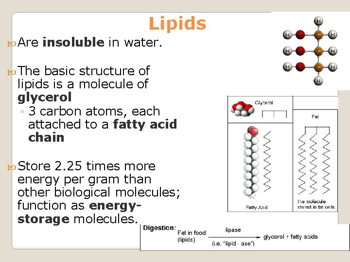 Lipids Are insoluble in water. The basic structure of lipids is a molecule of