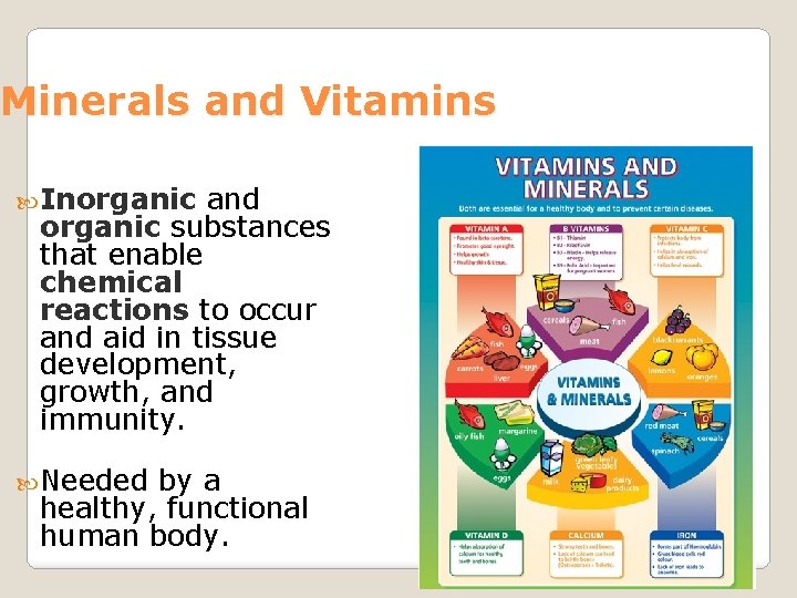 Minerals and Vitamins Inorganic and organic substances that enable chemical reactions to occur and