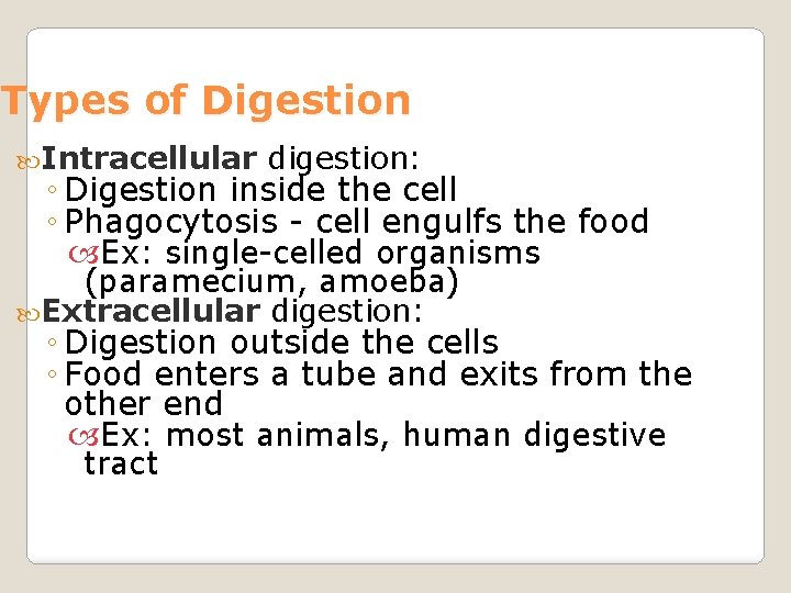 Types of Digestion Intracellular digestion: Extracellular digestion: ◦ Digestion inside the cell ◦ Phagocytosis