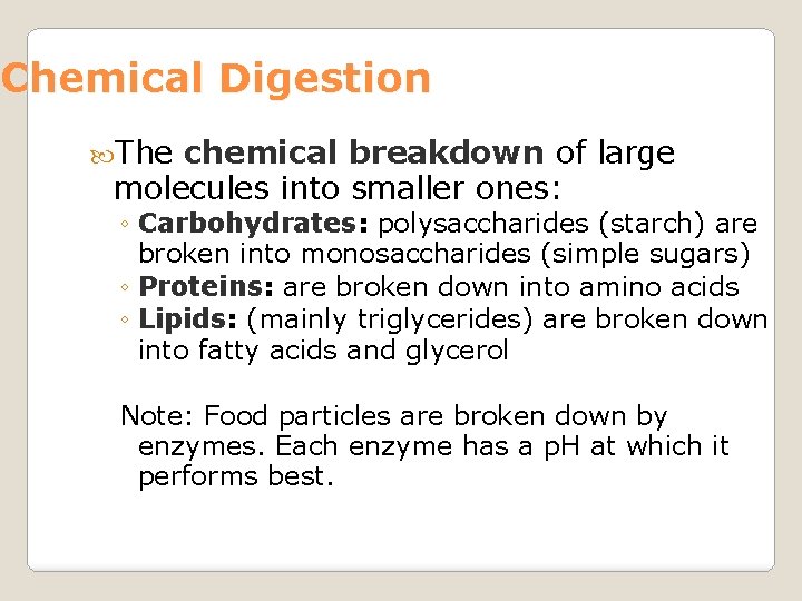 Chemical Digestion The chemical breakdown of large molecules into smaller ones: ◦ Carbohydrates: polysaccharides