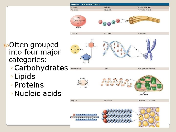 Often grouped into four major categories: ◦ Carbohydrates ◦ Lipids ◦ Proteins ◦