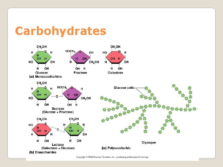 Carbohydrates 