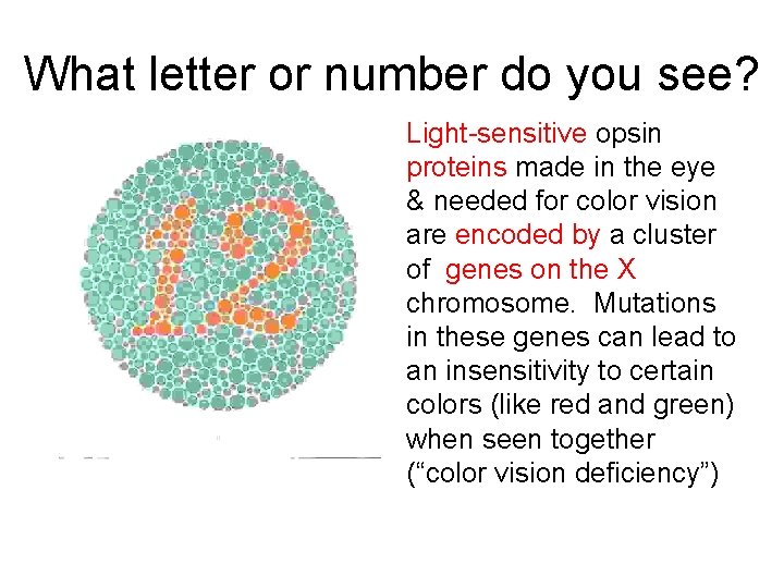 What letter or number do you see? Light-sensitive opsin proteins made in the eye