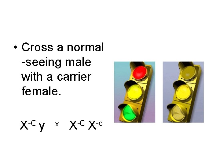  • Cross a normal -seeing male with a carrier female. X-C y x