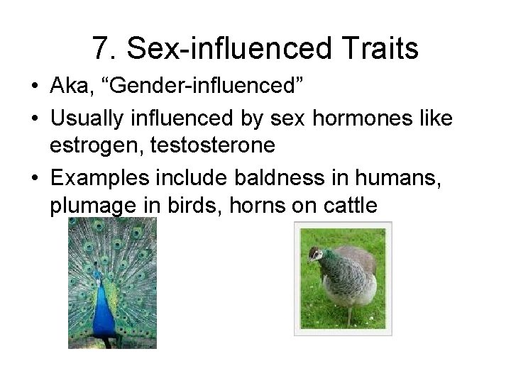 7. Sex-influenced Traits • Aka, “Gender-influenced” • Usually influenced by sex hormones like estrogen,