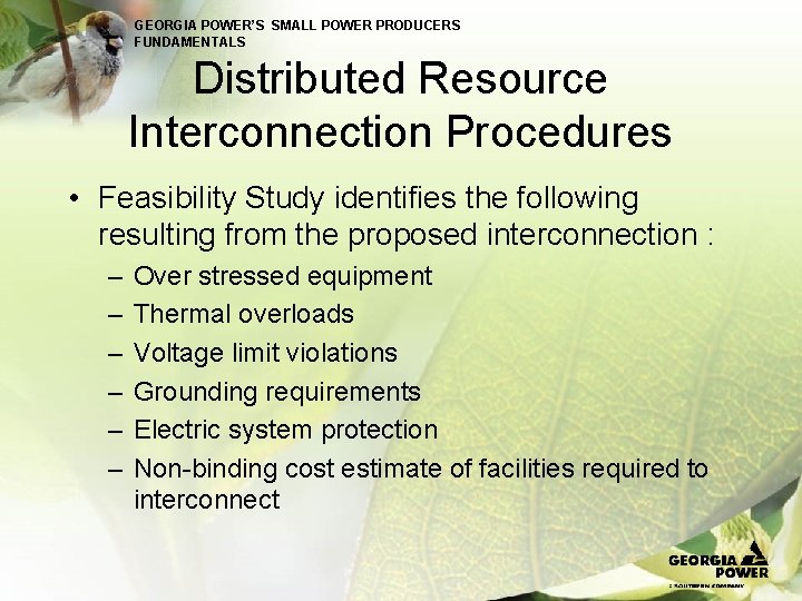 GEORGIA POWER’S SMALL POWER PRODUCERS FUNDAMENTALS Distributed Resource Interconnection Procedures • Feasibility Study identifies