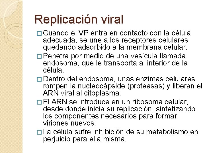 Replicación viral � Cuando el VP entra en contacto con la célula adecuada, se
