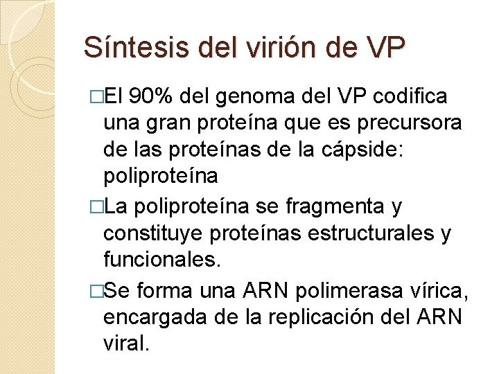 Síntesis del virión de VP �El 90% del genoma del VP codifica una gran