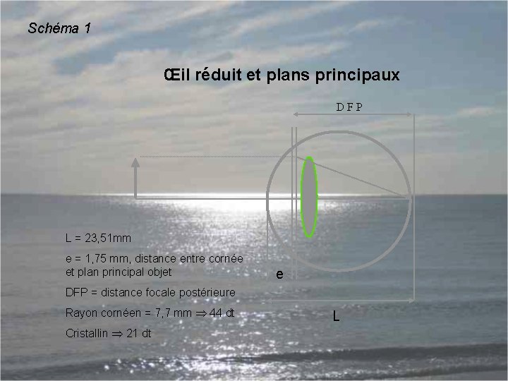 Schéma 1 Œil réduit et plans principaux D F P L = 23, 51