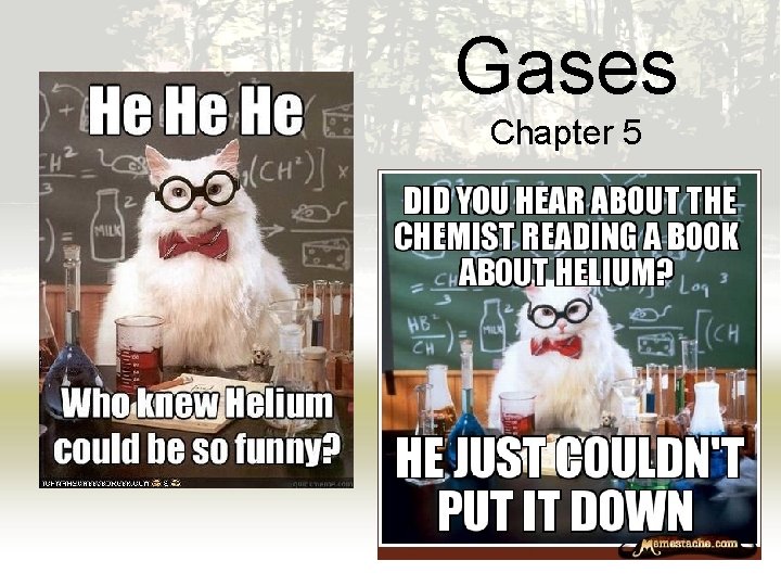 Gases Chapter 5 