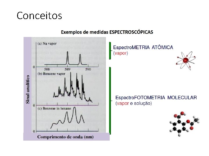 Conceitos 