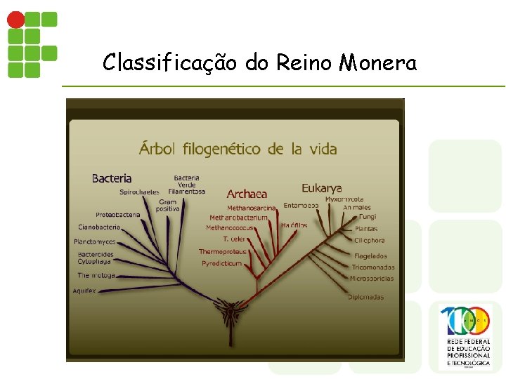 Classificação do Reino Monera 