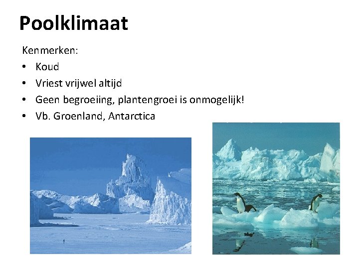 Poolklimaat Kenmerken: • Koud • Vriest vrijwel altijd • Geen begroeiing, plantengroei is onmogelijk!