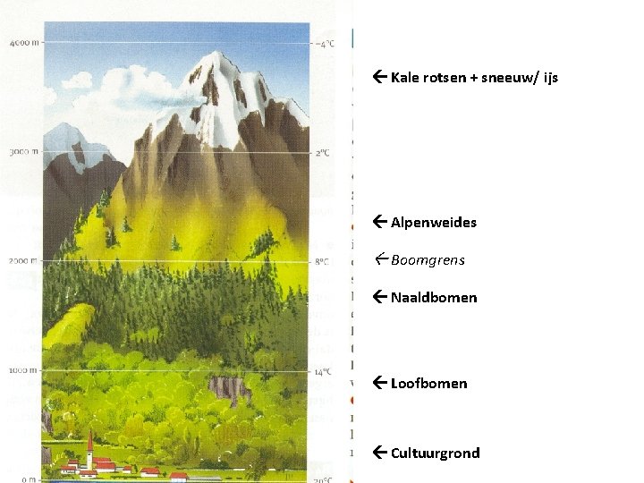 Vervolg Welke soorten klimaten zijn er in de