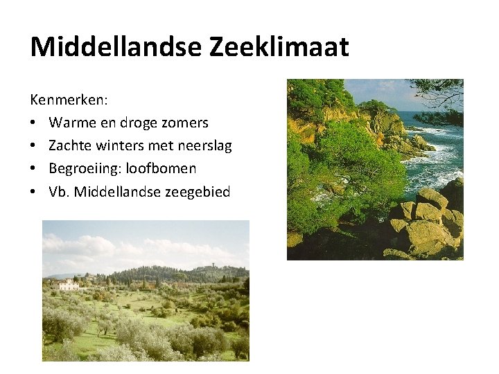 Middellandse Zeeklimaat Kenmerken: • Warme en droge zomers • Zachte winters met neerslag •