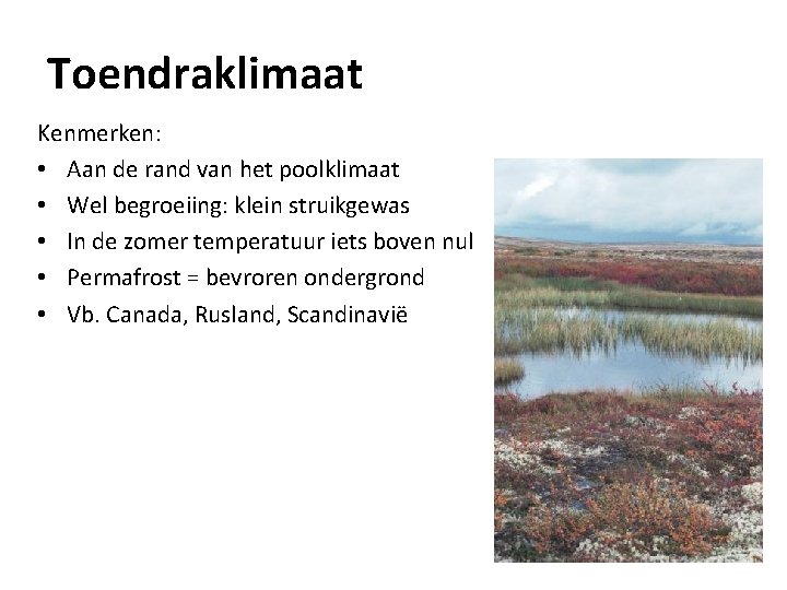Toendraklimaat Kenmerken: • Aan de rand van het poolklimaat • Wel begroeiing: klein struikgewas