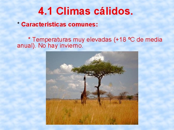4. 1 Climas cálidos. * Características comunes: * Temperaturas muy elevadas (+18 ºC de