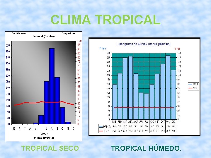 CLIMA TROPICAL SECO TROPICAL HÚMEDO. 