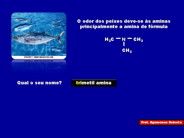 O odor dos peixes deve-se às aminas principalmente a amina de fórmula H 3