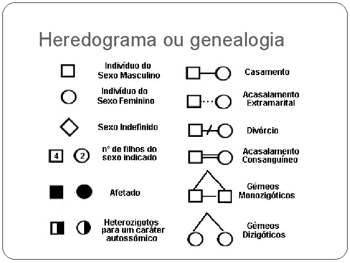 Heredograma ou genealogia 