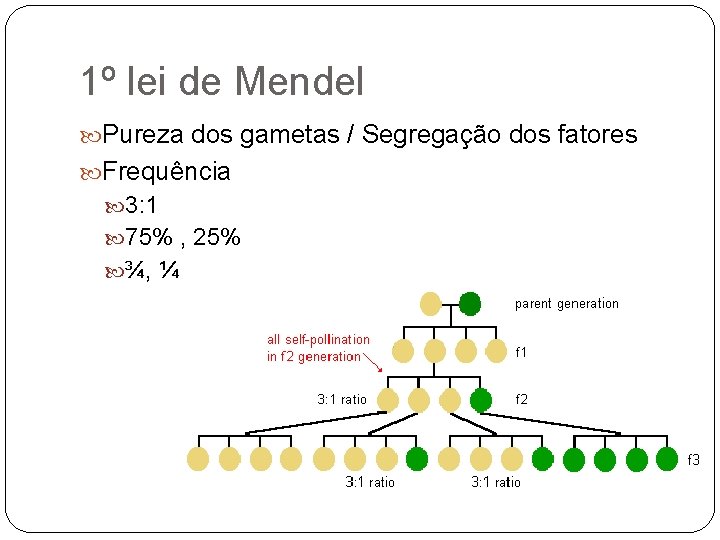 1º lei de Mendel Pureza dos gametas / Segregação dos fatores Frequência 3: 1
